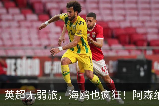 英超无弱旅，海鸥也疯狂！阿森纳3球惨败，拉亚成了远射背景板